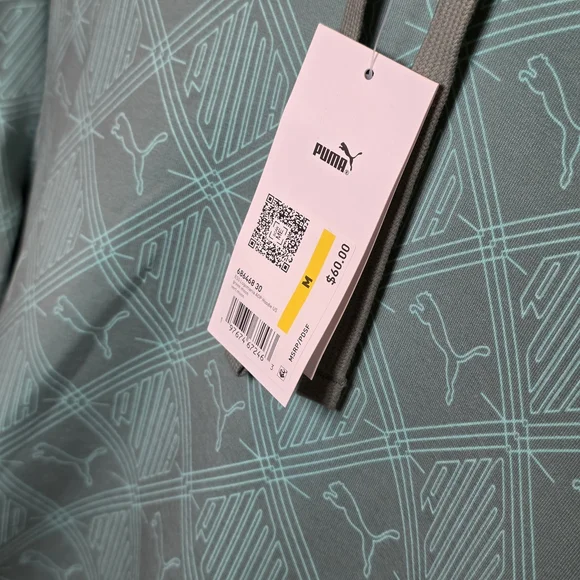 Puma Logo Teal Green Hoodie and Sweatpant Joggers Set - Picture 3 of 4